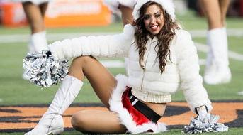 谁杀了啦啦队长,一场校园谜案的真相揭晓